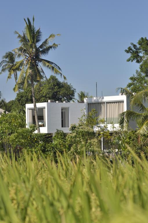 Villa Ashoka Canggu Exterior foto